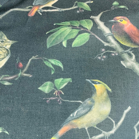 AMI by ALEXANDRE MATTIUSSI Size L Navy Green Brown Birds Long Sleeve Shirt