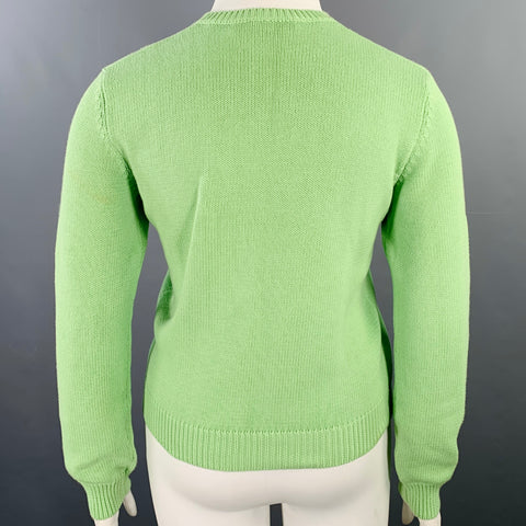 RALPH LAUREN Size L Green Cotton Knit V-Neck Sweater