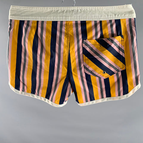 MR TURK Size 30 Multi-Color Stripe Poliammide Swim Brief Shorts