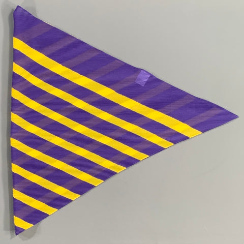 ISSEY MIYAKE Purple Yellow Stripe Polyester Scarves & Shawls