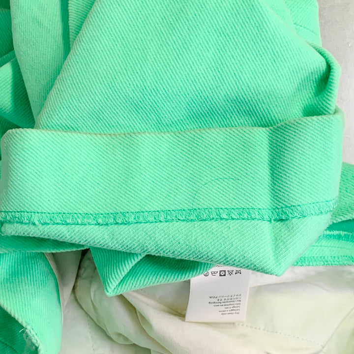 SIES MARJAN Size 30 Green Mint Twill Cotton Velvet Straight Casual Pants