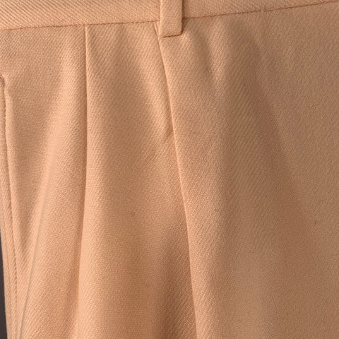 WALTER VAN BEIRENDONCK Size 34 Beige Pink Twill Wool Pleated Dress Pants