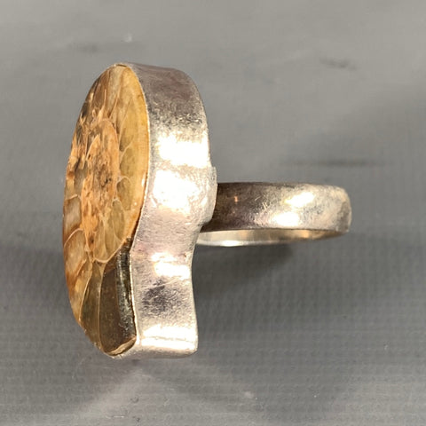 NO BRAND Fossil Size 9 Brown Silver Spiral Ring