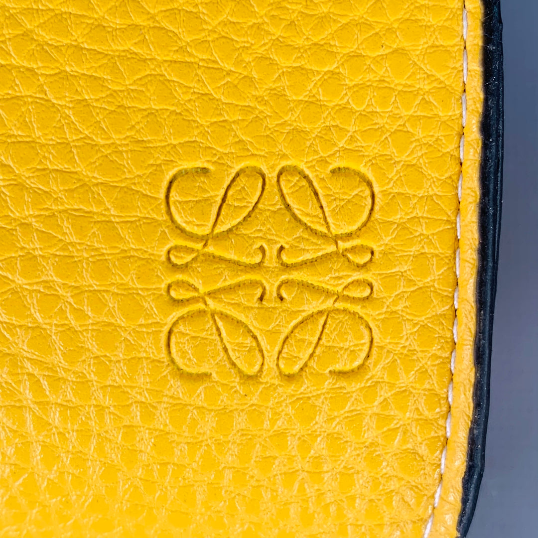 LOEWE x PAULA'S IBIZA White Green Acetate Two Tone Sunglasses