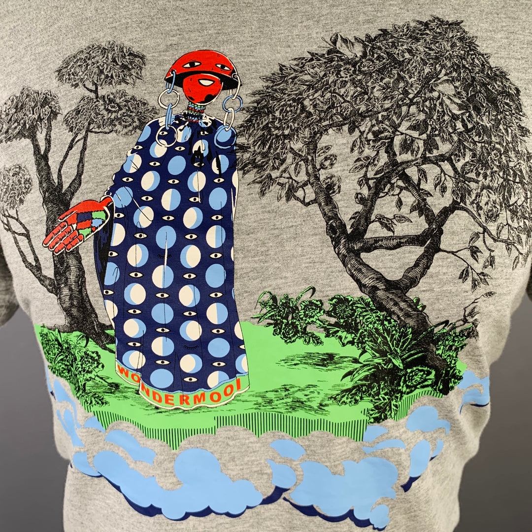 WALTER VAN BEIRENDONCK Size S Grey Multi Color Graphic Cotton T-shirt