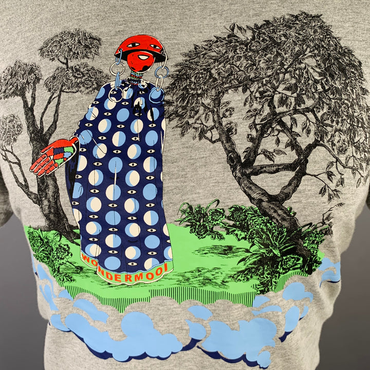 WALTER VAN BEIRENDONCK Size S Grey Multi Color Graphic Cotton T-shirt