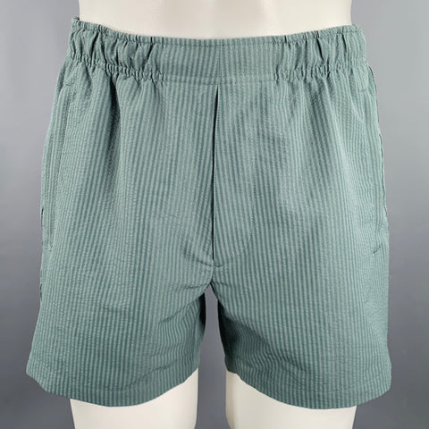 THEORY Size XS -Jace Splash-  Green Stripe Polyester Zip Pockets Swim Trunks