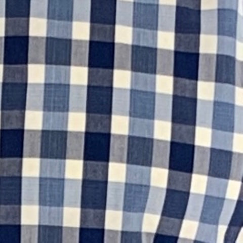 HUGO BOSS Size M Blue White Plaid Cotton Long Sleeve Shirt