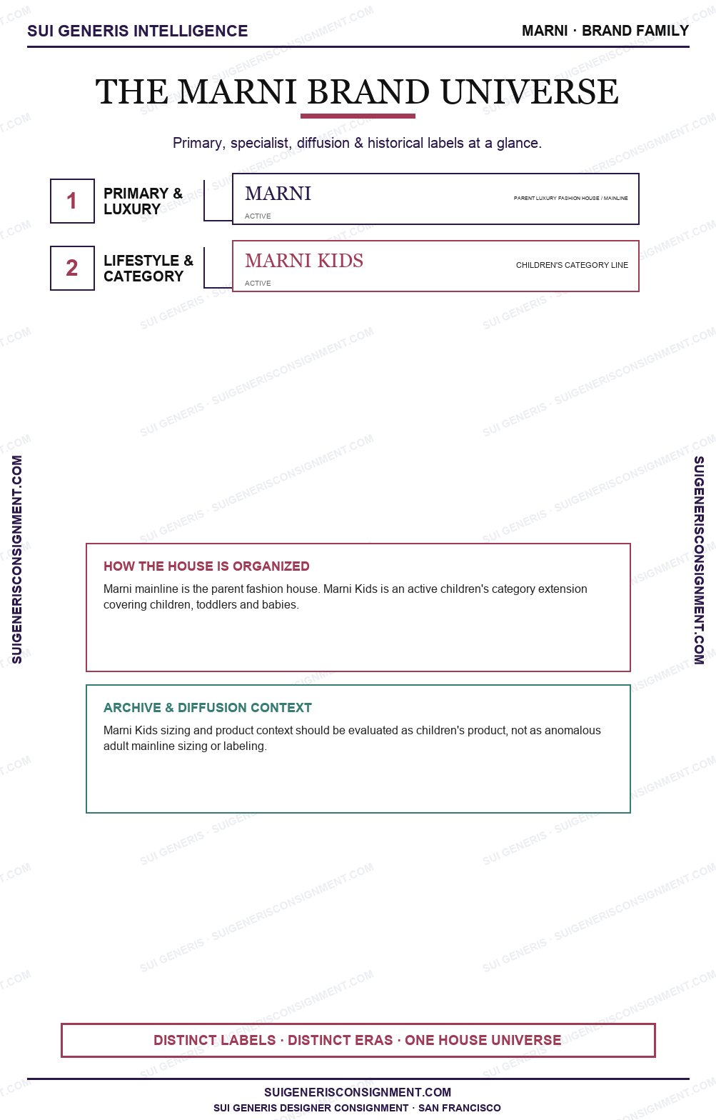 Marni Brand Universe — Sui Generis Intelligence