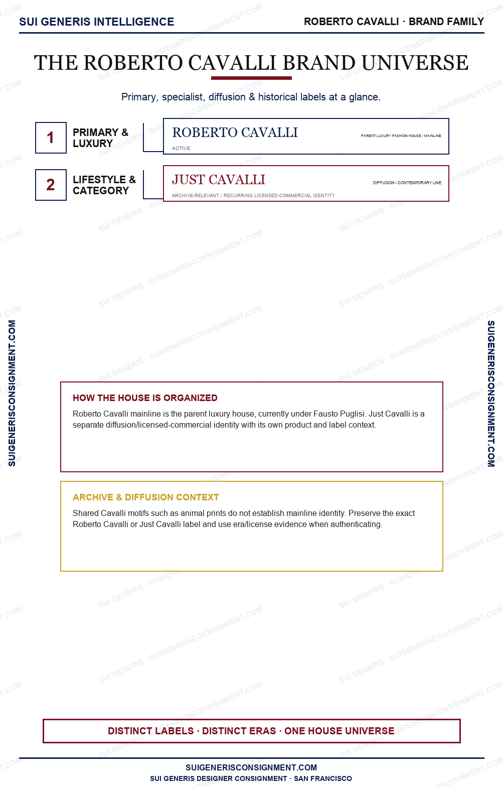 Roberto Cavalli Brand Universe — Sui Generis Intelligence