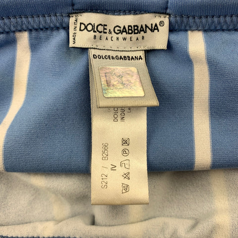 DOLCE & GABBANA Beach Wear Size S Blue & White Stripe Polyamide Swim Briefs