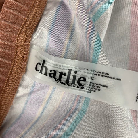 CHARLIE Size M Bronze Purple Stripe Nylon Polyamide Swim Trunks