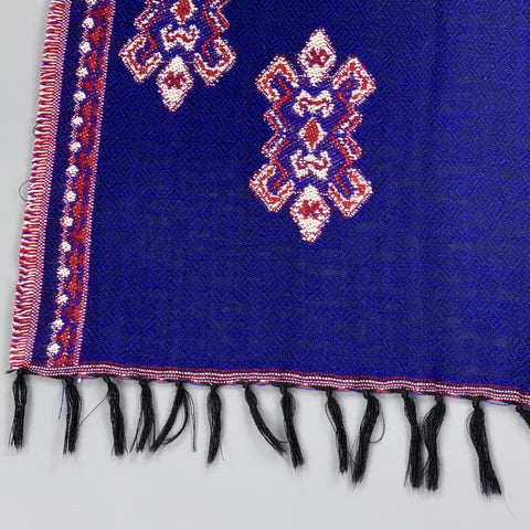 Blue & Red Print Wool Knit Fringe Scarf