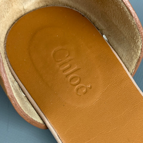 CHLOE Lazise Taille 6.5 Sandales à bride à la cheville en cuir beige