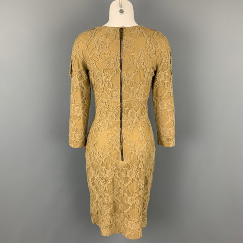 BURBERRY PRORSUM Size 8 Olive Lace Cotton Blend Shift Dress