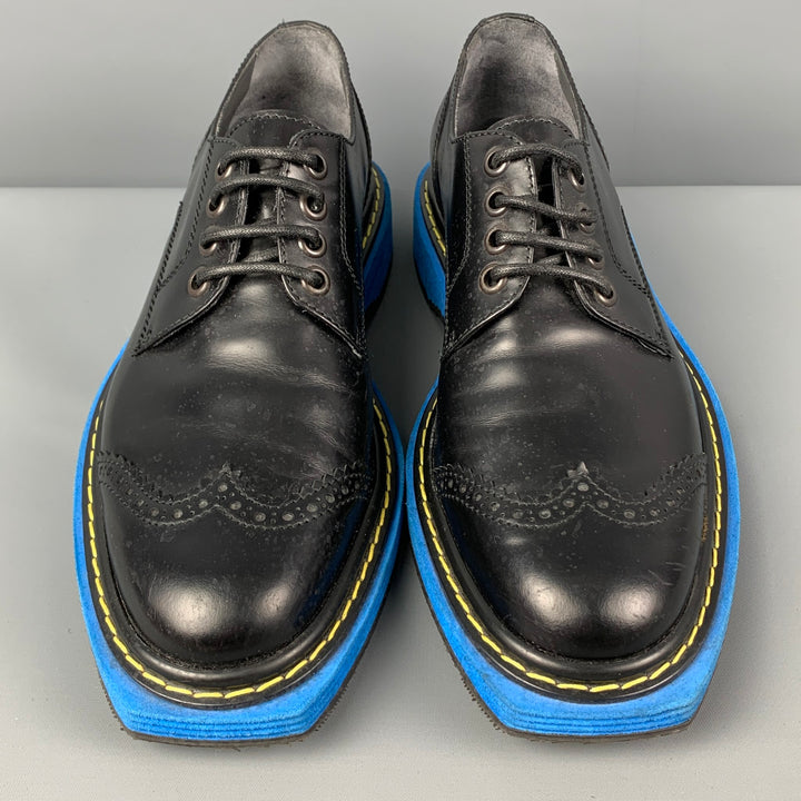 VIKTOR & ROLF Size 10 Black Blue Perforated Leather Wingtip Lace Up Shoes
